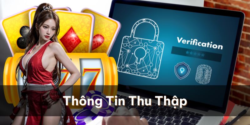Những thông tin mà nhà cái 789Bet sẽ thu thập từ người dùng