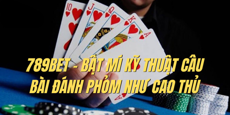 Bật mí chiến thuật câu bài phỏm chuyên nghiệp như cao thủ